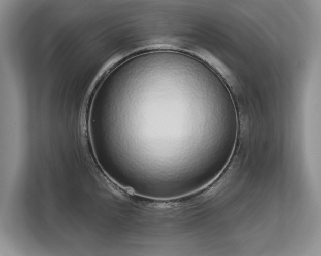 X0000113021240200909031225
