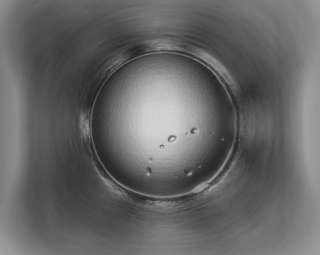X0000113021241200909031225