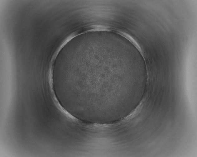 X0000113021243200909031225