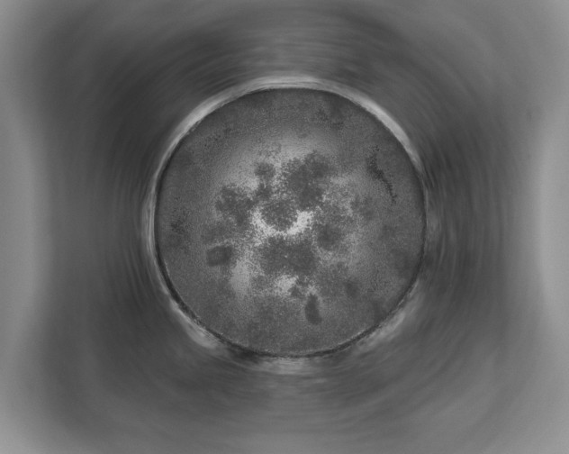 X0000113021245200909031225