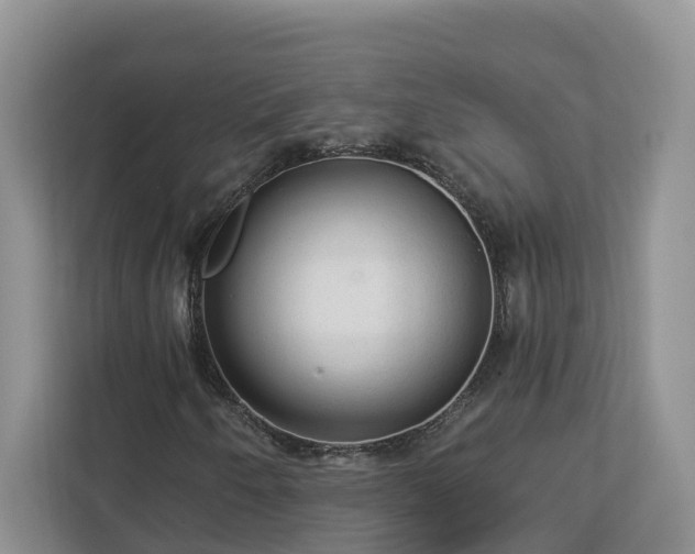 X0000113021250200909031224