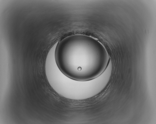 X0000113021252200909031224