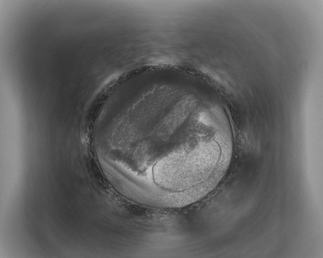 X0000113021254200909031224