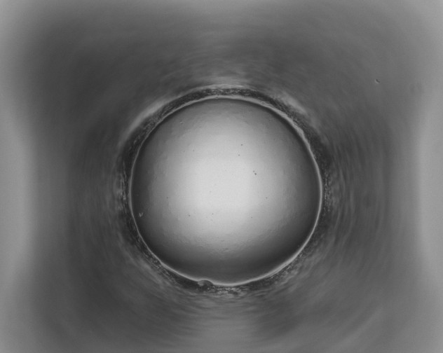 X0000113021255200909031224