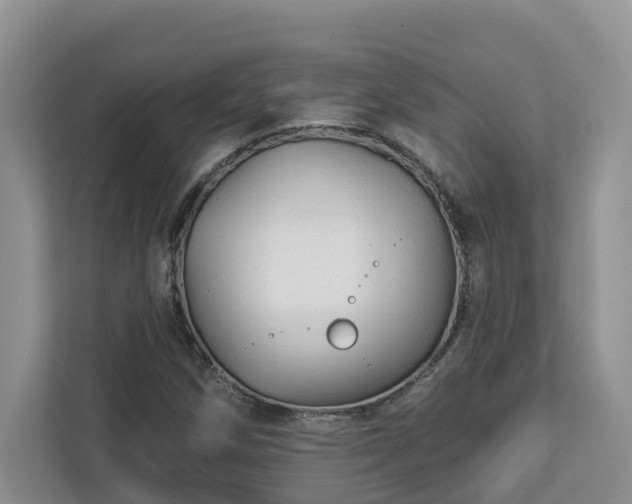 X0000113021258200909031224