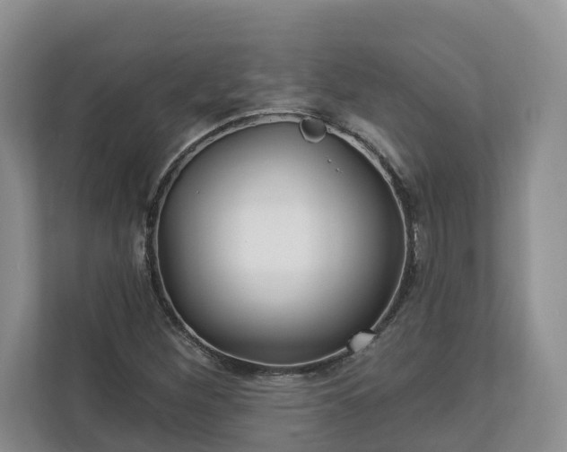 X0000113021260200909031224