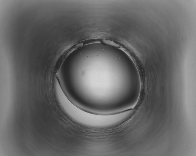 X0000113021261200909031224