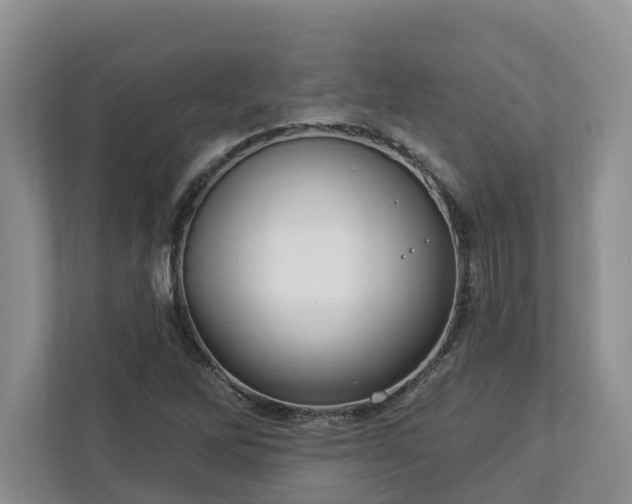 X0000113021262200909031224