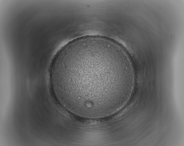 X0000113021263200909031224