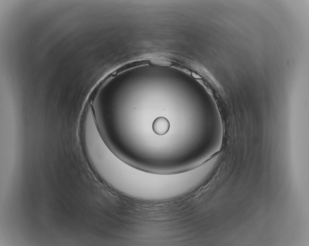 X0000113021268200909031224