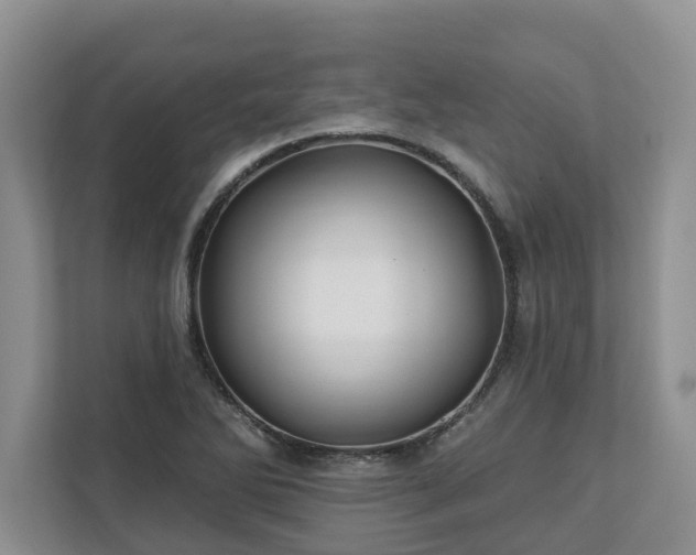 X0000113021270200909031224