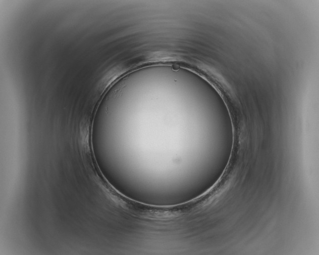 X0000113021273200909031224