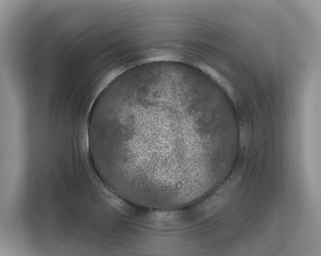 X0000113021274200909031224