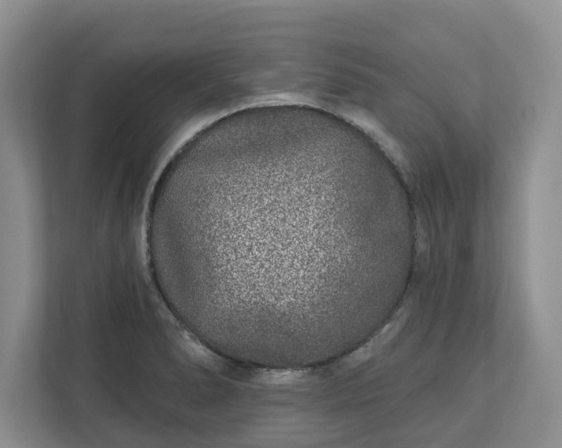 X0000113021278200909031224