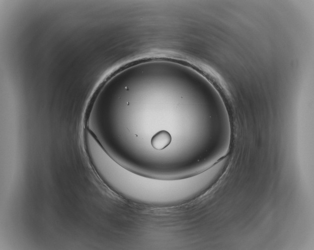 X0000113021280200909031224
