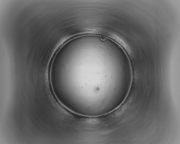 X0000113021283200909031224