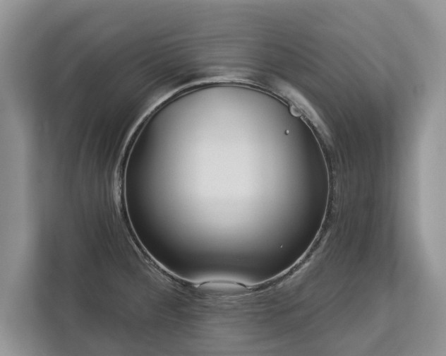 X0000113021284200909031224
