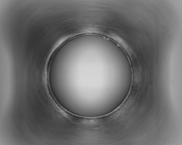 X0000113021286200909031224