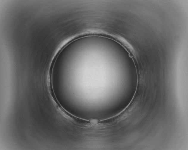 X0000113021287200909031224
