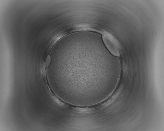 X0000113021289200909031224