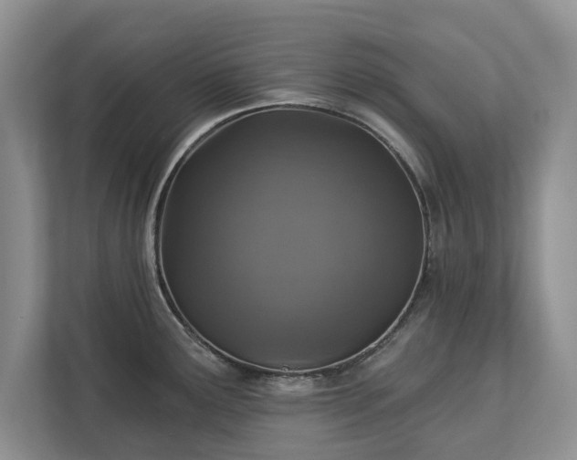 X0000113021291200909031224