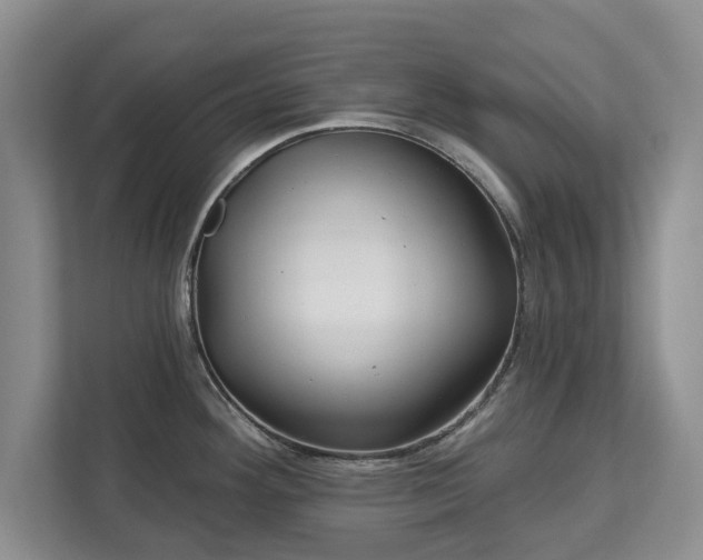 X0000113021292200909031224