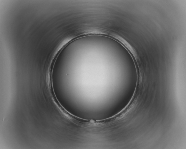 X0000113021293200909031224