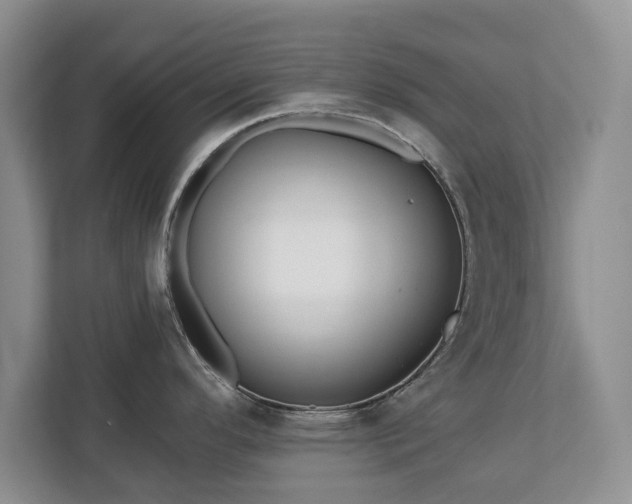 X0000113021296200909031224