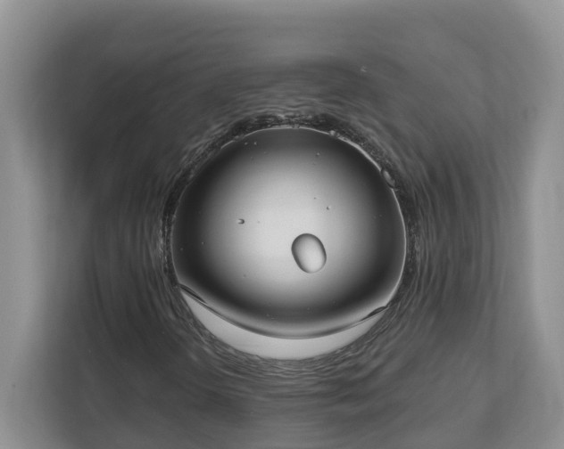 X0000113021298200909031223