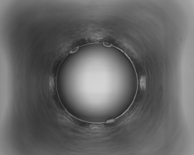 X0000113021299200909031223