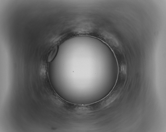 X0000113021300200909031223