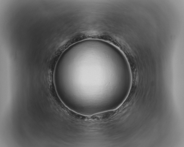 X0000113021301200909031223