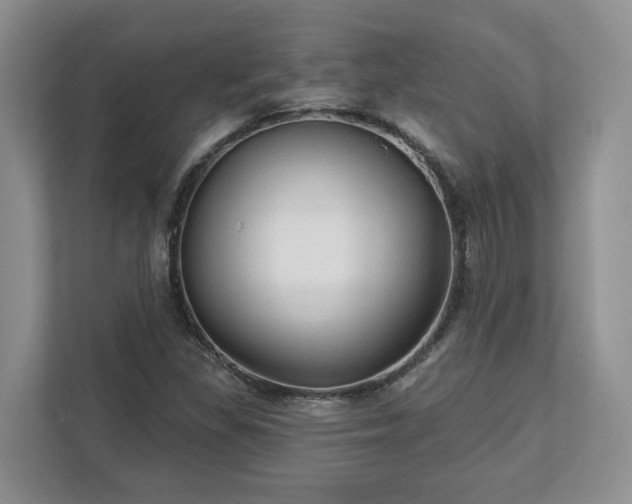 X0000113021309200909031223