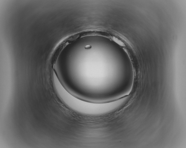 X0000113021310200909031223