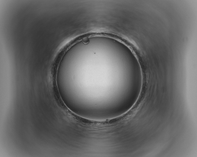 X0000113021311200909031223