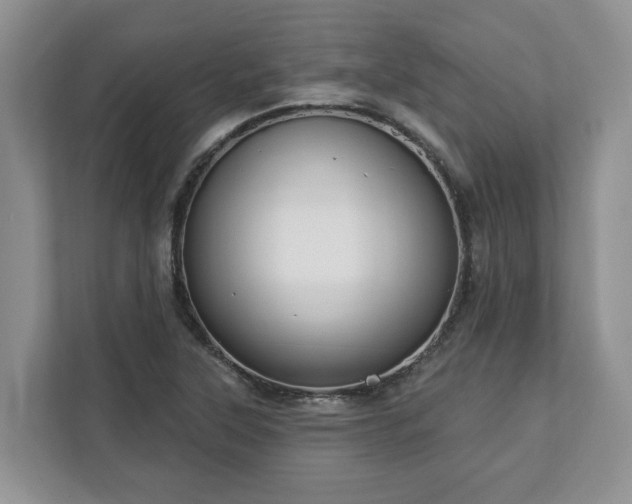 X0000113021315200909031223