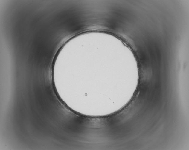 X0000113021322200909031223