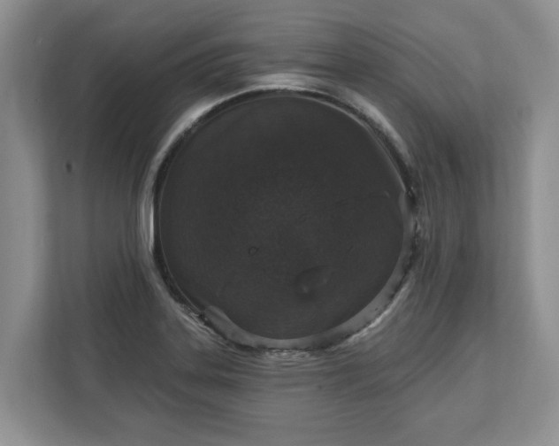 X0000113021323200909031223
