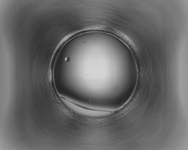 X0000113021324200909031223