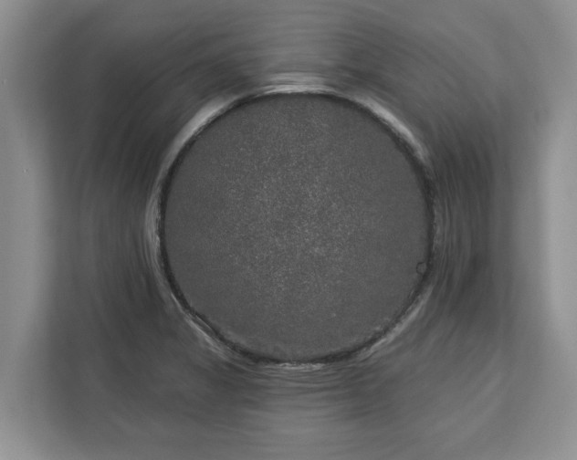 X0000113021325200909031223