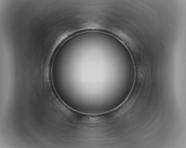 X0000113021326200909031223