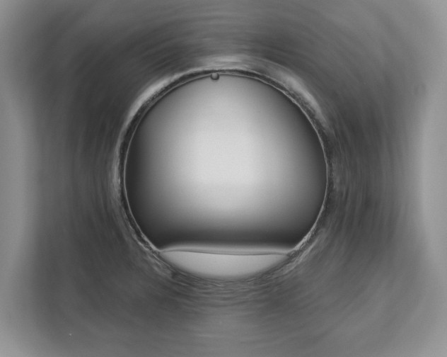 X0000113021328200909031223