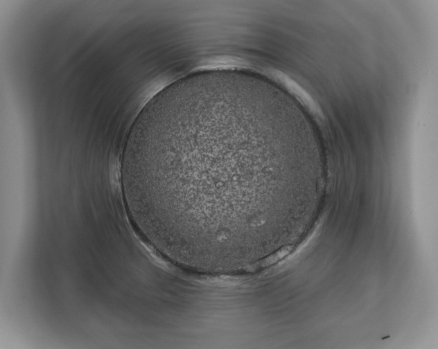 X0000113021329200909031223
