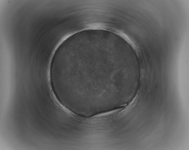 X0000113021331200909031223