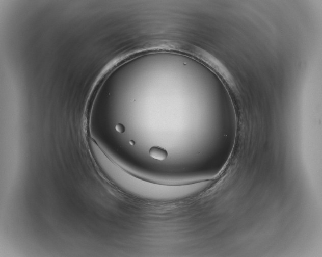 X0000113021332200909031223