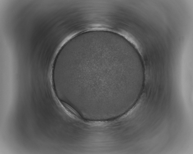 X0000113021333200909031223