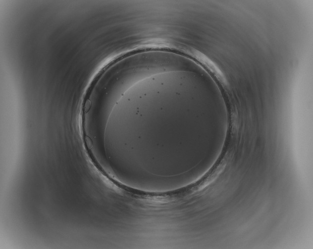 X0000113021334200909031223