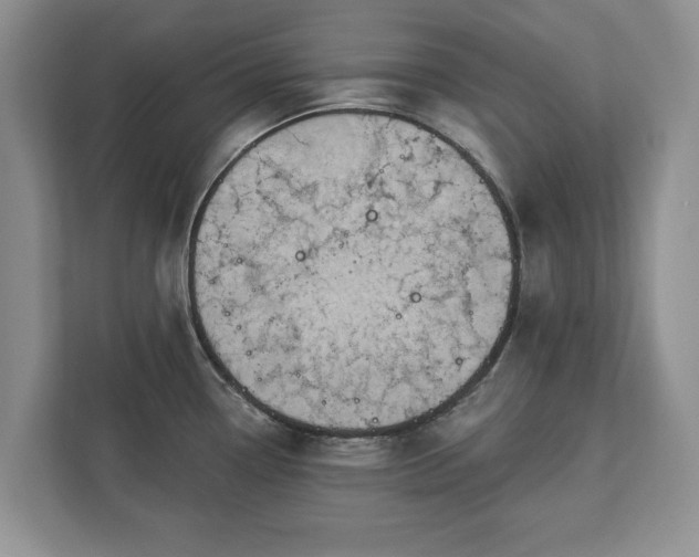 X0000113021338200909031224