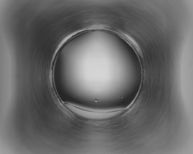 X0000113021340200909031224