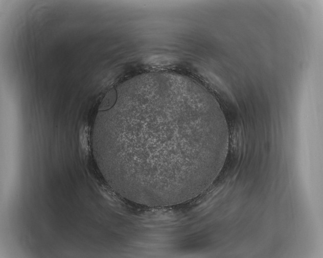 X0000113021346200909031223